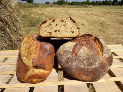 Pain de ferme (semi-complet)